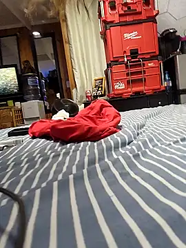 whtboi69 online show from 10, 3, 2026