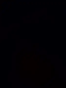 pin jesus online show from 12, 1, 2026