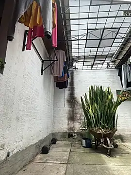 oliver price1 online show from 10, 9, 2025